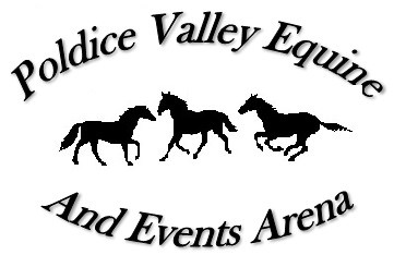 Poldice Valley Equine Logo